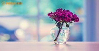 Tử vi tuần mới của 12 con giáp từ ngày 30/7 đến 5/8/2018 Tử vi tuần mới của 12 con giáp từ ngày 30/7 đến 5/8/2018