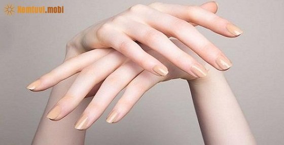 Xem tướng bàn tay nữ giới Xem tướng bàn tay nữ giới