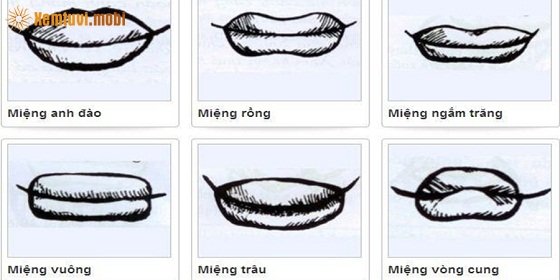 Xem Tướng Môi Đàn Ông Biết Tính Cách Vận Mệnh Chuẩn Xác Nhất