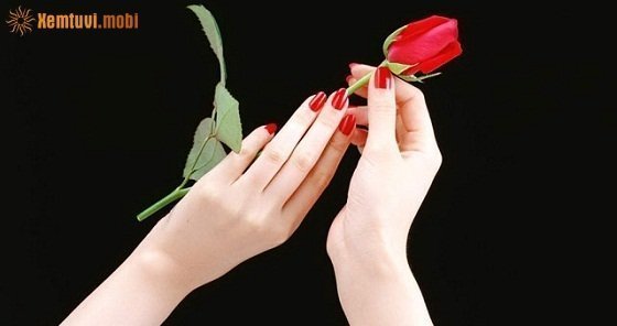 Xem tướng qua bàn tay phụ nữ đầy đủ và chi tiết Xem tướng qua bàn tay phụ nữ đầy đủ và chi tiết