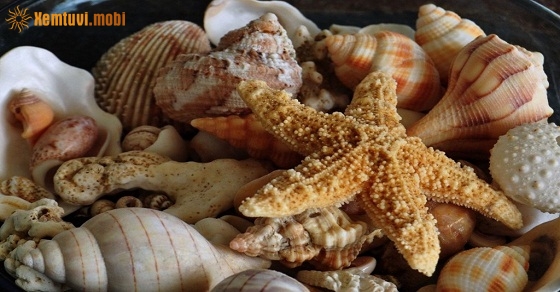 Xem tử vi ngày 15/08/2018 thứ 4