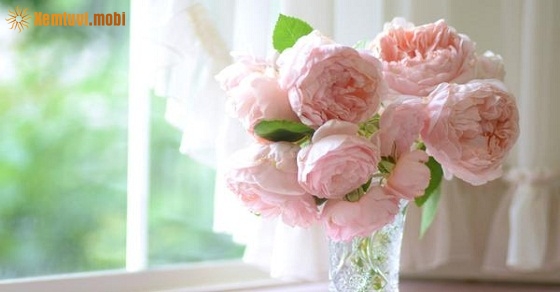 Xem tử vi 12 con giáp ngày 31/8/2018 thứ 6 Xem tử vi 12 con giáp ngày 31/8/2018 thứ 6