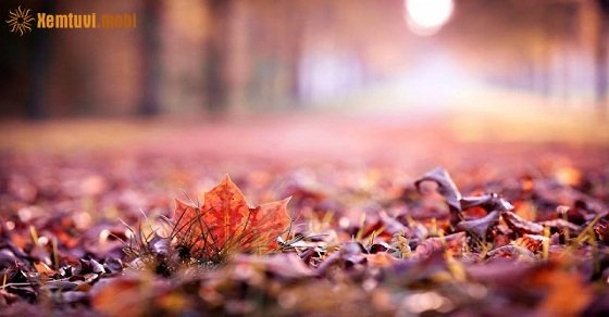 Tử vi 12 con giáp ngày 7/8/2018 thứ 3