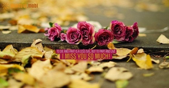 Xem tử vi 12 con giáp ngày 5/8/2018 chủ nhật