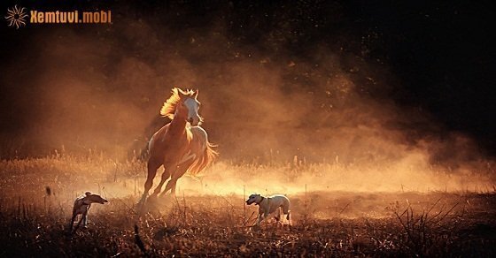 Xem tử vi ngày 06/08/2018 thứ 2