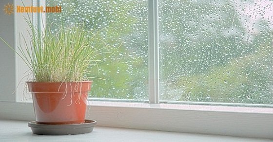 Xem tử vi 12 con giáp ngày 7/8/2018 thứ 3