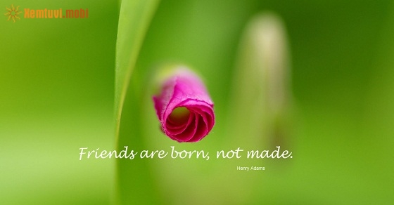 Tử vi 12 con giáp ngày 27/8/2018 thứ 2 Tử vi 12 con giáp ngày 27/8/2018 thứ 2