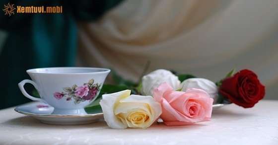 Tử vi 12 con giáp ngày 5/8/2018 chủ nhật