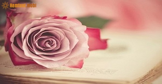 Xem tử vi ngày 23/08/2018 thứ 5 Xem tử vi ngày 23/08/2018 thứ 5