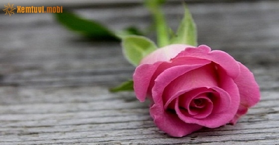 Tử vi 12 con giáp ngày 2/9/2018 chủ nhật