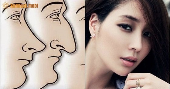 Xem tướng người thông minh qua mũi