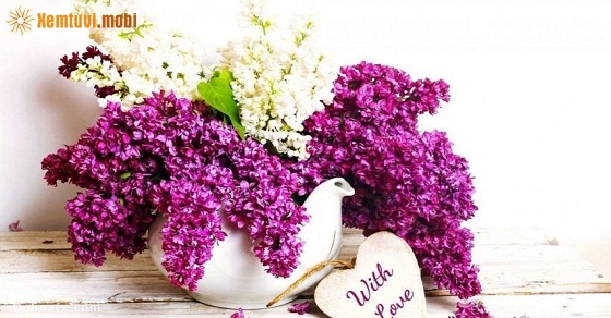 Xem tử vi ngày 01/10/2018 thứ 2 Xem tử vi ngày 01/10/2018 thứ 2