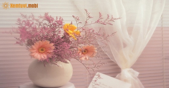 Xem tử vi 12 con giáp ngày 29/9/2018 thứ 7 Xem tử vi 12 con giáp ngày 29/9/2018 thứ 7