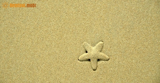 Xem tử vi ngày 21/09/2018 thứ 6 Xem tử vi ngày 21/09/2018 thứ 6