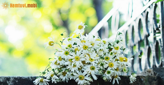 Tử vi 12 con giáp ngày 11/9/2018 thứ 3