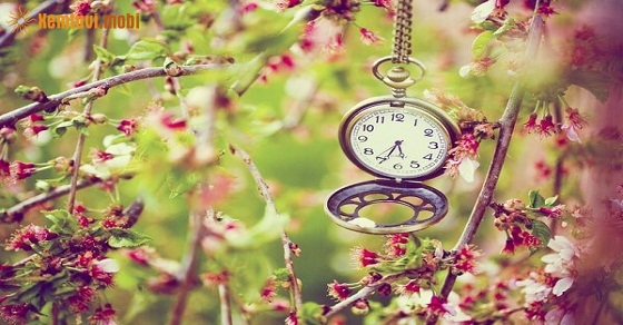 Tử vi 12 con giáp ngày 20/9/2018 thứ 5 Tử vi 12 con giáp ngày 20/9/2018 thứ 5