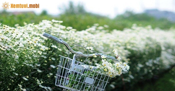 Tử vi 12 con giáp ngày 21/9/2018 thứ 6 Tử vi 12 con giáp ngày 21/9/2018 thứ 6