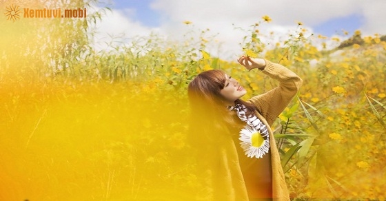 Tử vi 12 con giáp ngày 29/9/2018 thứ 7 Tử vi 12 con giáp ngày 29/9/2018 thứ 7