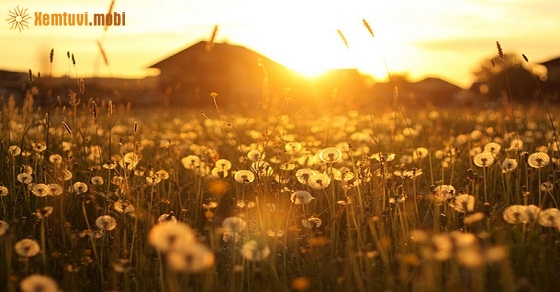 Tử vi 12 con giáp ngày 30/9/2018 chủ nhật Tử vi 12 con giáp ngày 30/9/2018 chủ nhật