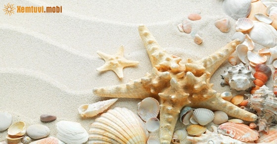 Tử vi 12 con giáp ngày 6/9/2018 thứ 5 Tử vi 12 con giáp ngày 6/9/2018 thứ 5