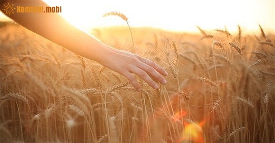 Xem tử vi 12 con giáp ngày 1/10/2018 thứ 2 Xem tử vi 12 con giáp ngày 1/10/2018 thứ 2