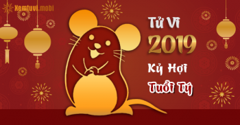 Xem bói tử vi tuổi Tý năm 2019 chi tiết nam mạng và nữ mạng Xem bói tử vi tuổi Tý năm 2019 chi tiết nam mạng và nữ mạng
