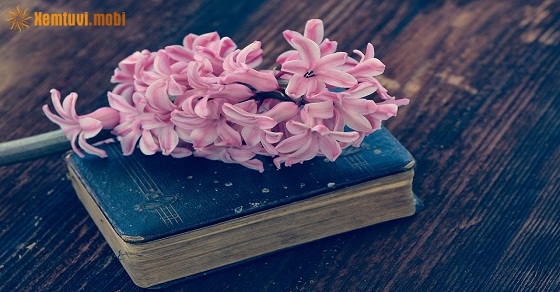 Tử vi 12 con giáp ngày 19/10/2018 thứ 6 Tử vi 12 con giáp ngày 19/10/2018 thứ 6