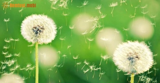 Tử vi 12 con giáp ngày 17/10/2018 thứ 4 Tử vi 12 con giáp ngày 17/10/2018 thứ 4