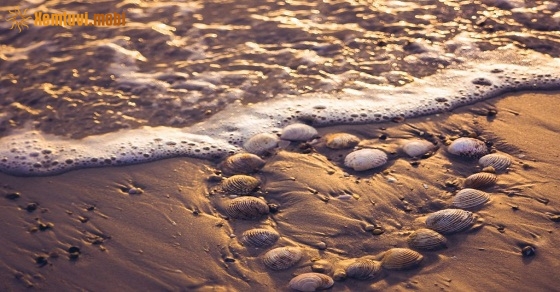 Xem tử vi ngày 26/10/2018 thứ 6 Xem tử vi ngày 26/10/2018 thứ 6