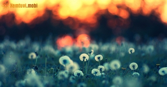 Tử vi 12 con giáp ngày 10/10/2018 thứ 4 Tử vi 12 con giáp ngày 10/10/2018 thứ 4