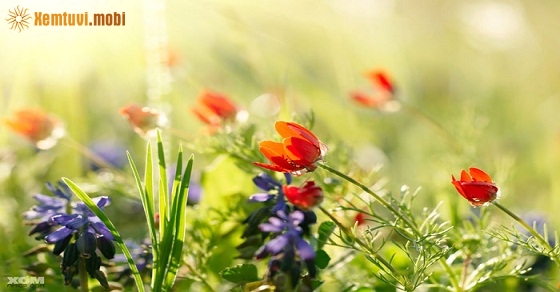 Tử vi 12 con giáp ngày 9/10/2018 thứ 3 Tử vi 12 con giáp ngày 9/10/2018 thứ 3