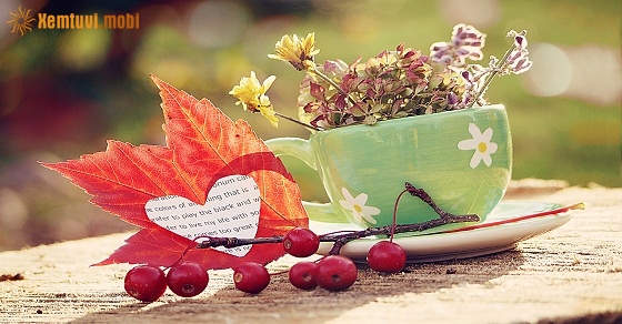 Tử vi 12 con giáp ngày 22/10/2018 thứ 2 Tử vi 12 con giáp ngày 22/10/2018 thứ 2