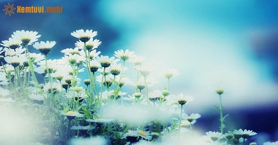 Xem tử vi 12 con giáp ngày 10/10/2018 thứ 4 Xem tử vi 12 con giáp ngày 10/10/2018 thứ 4