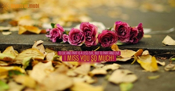 Tử vi 12 con giáp ngày 26/10/2018 thứ 6 Tử vi 12 con giáp ngày 26/10/2018 thứ 6