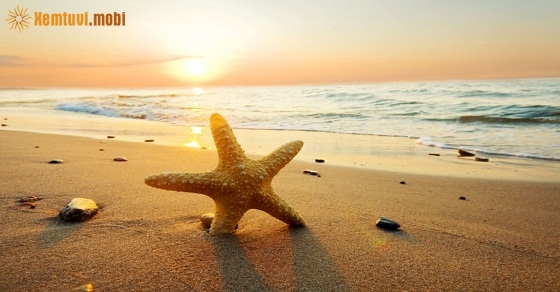 Tử vi 12 con giáp ngày 3/10/2018 thứ 4 Tử vi 12 con giáp ngày 3/10/2018 thứ 4