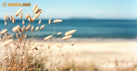 Tử vi 12 con giáp ngày 13/10/2018 thứ 7 Tử vi 12 con giáp ngày 13/10/2018 thứ 7