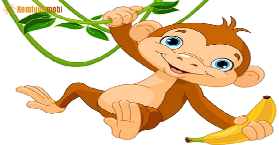 Bói tử vi tuổi Thân nữ mạng năm 2019