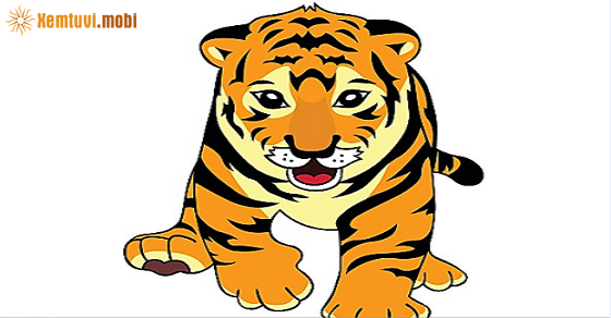 Xem tử vi 2019 tuổi Dần nam mạng