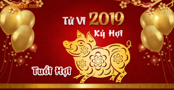 Xem bói tử vi tuổi Hợi năm 2019 chi tiết nam mạng và nữ mạng Xem bói tử vi tuổi Hợi năm 2019 chi tiết nam mạng và nữ mạng