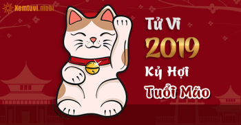 Xem bói tử vi tuổi Mão năm 2019 chi tiết nam mạng và nữ mạng