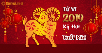 Xem bói tử vi tuổi Mùi năm 2019 chi tiết nam mạng và nữ mạng Xem bói tử vi tuổi Mùi năm 2019 chi tiết nam mạng và nữ mạng