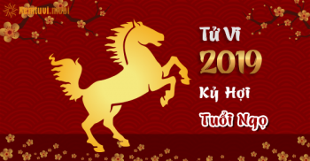 Xem bói tử vi tuổi Ngọ năm 2019 chi tiết nam mạng và nữ mạng Xem bói tử vi tuổi Ngọ năm 2019 chi tiết nam mạng và nữ mạng