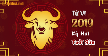 Xem bói tử vi tuổi Sửu năm 2019 chi tiết nam mạng và nữ mạng Xem bói tử vi tuổi Sửu năm 2019 chi tiết nam mạng và nữ mạng