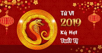 Xem bói tử vi năm 2019 tuổi Tỵ chi tiết nam mạng và nữ mạng Xem bói tử vi năm 2019 tuổi Tỵ chi tiết nam mạng và nữ mạng