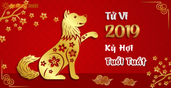 Xem bói tử vi tuổi Tuất năm 2019 chi tiết nam mạng và nữ mạng Xem bói tử vi tuổi Tuất năm 2019 chi tiết nam mạng và nữ mạng