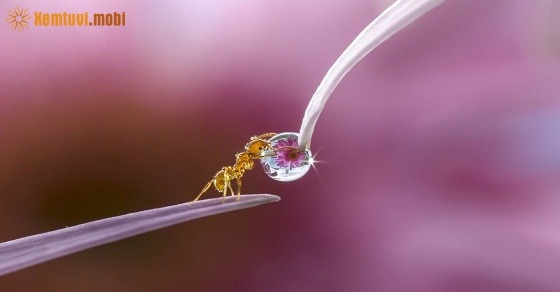 Tử vi thứ hai của 12 con giáp ngày 12/11/2018