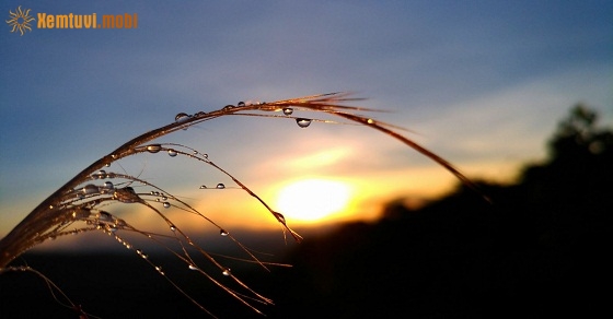 Xem tử vi ngày 12-11-2018 thứ 2