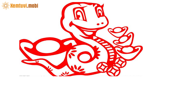 Xem tử vi 2019 tuổi Tỵ nam mạng