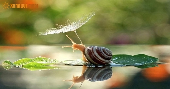 Xem tử vi ngày 21-11-2018 thứ 4