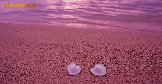 Tử vi thứ ba của 12 con giáp ngày 25/12/2018